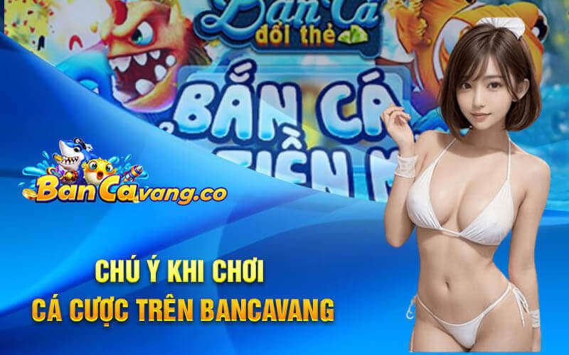 Chú ý khi chơi cá cược trên bancavang